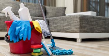cleaning people maids a la mode