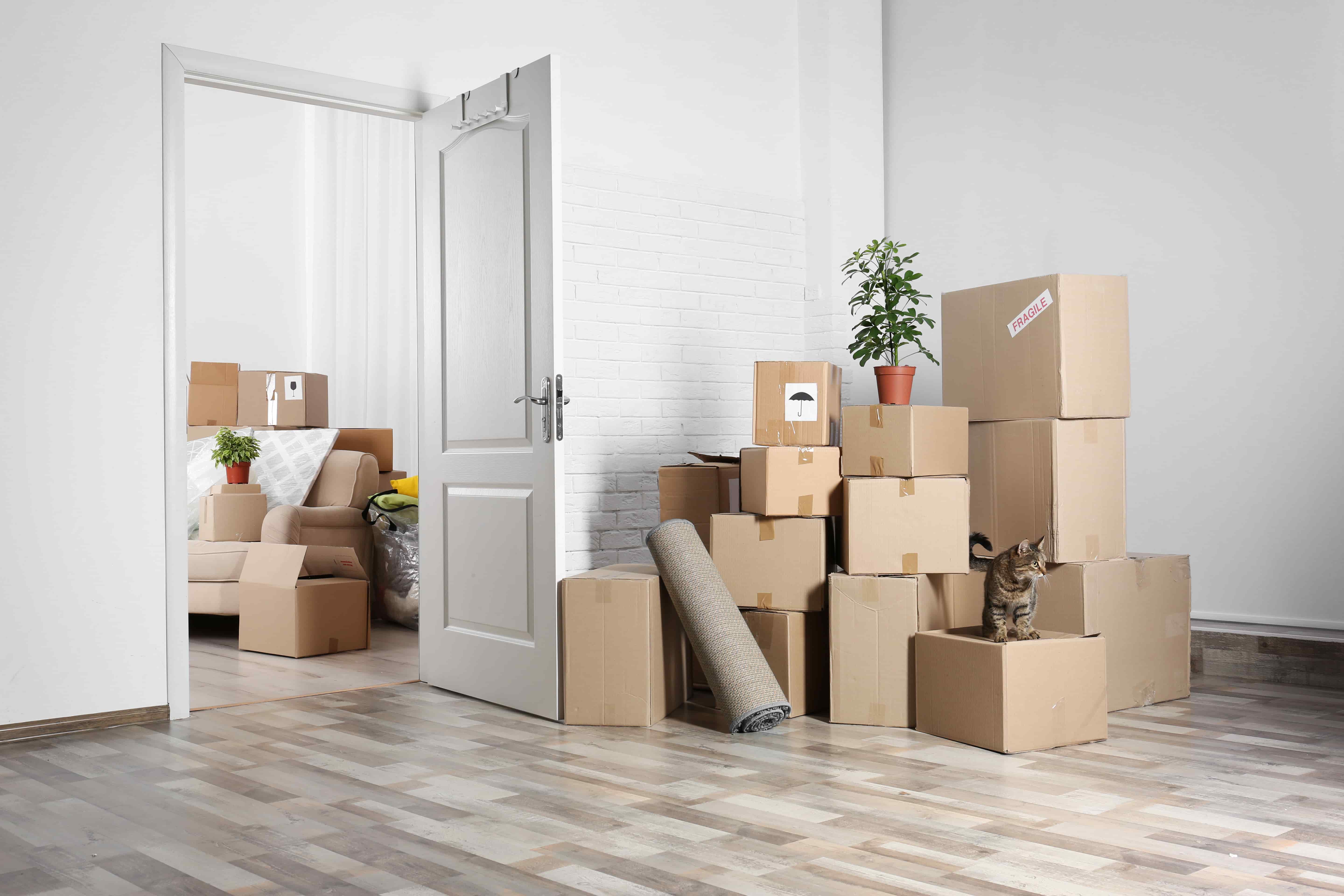 tips-for-moving-out-move-out-cleaning-services-in-mobile-al